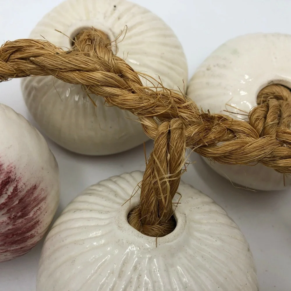 10 Ceramic White Red Purple Onions on Braided Jute Rope Wall Hanging Decor